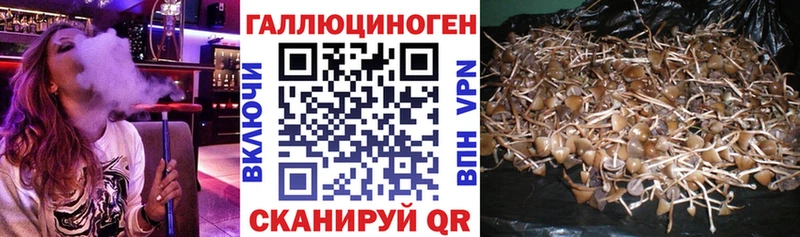 Псилоцибиновые грибы Magic Shrooms  Волгоград 