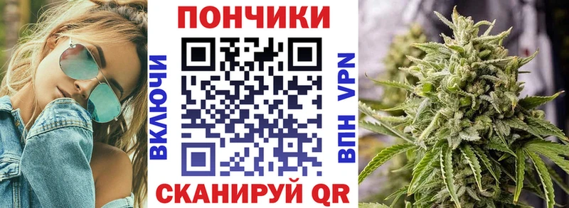 Конопля SATIVA & INDICA  дарнет шоп  Волгоград 